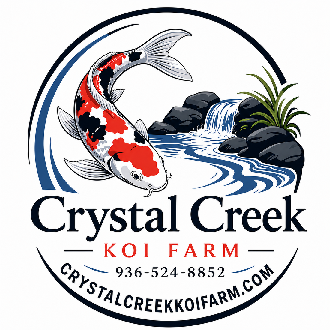 Koi 101: What to Know Before Buying Your First Fish