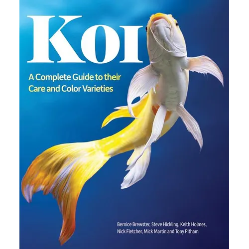 Koi: A Complete Guide to Their Care and Color Varieties