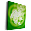 3dRose Pretty Koi Carp Fish over water ripples in Sage Green - Museum Grade Canvas Wrap (cw_219260)