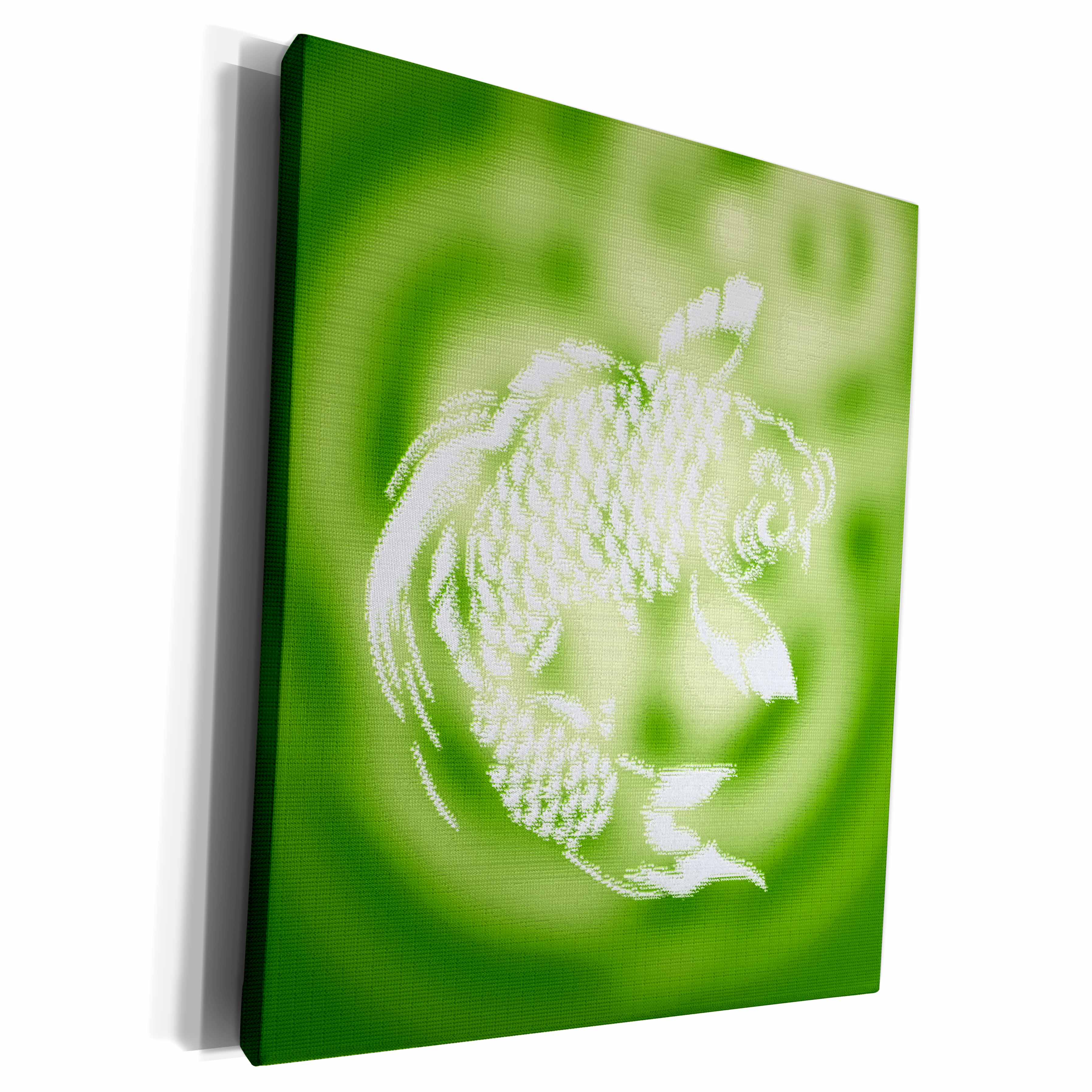 3dRose Pretty Koi Carp Fish over water ripples in Sage Green - Museum Grade Canvas Wrap (cw_219260)