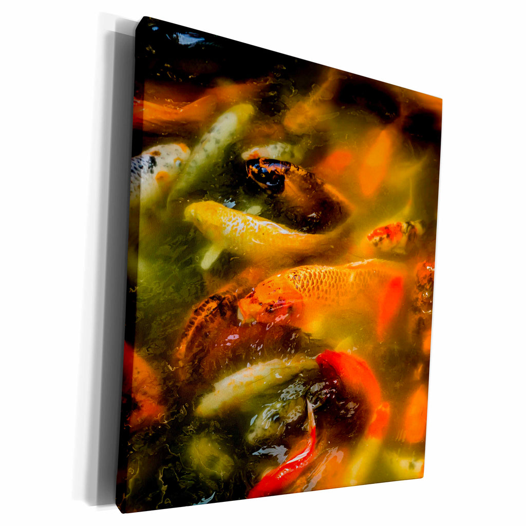 3dRose Crowded pond with Orange Koi fish, Yuyuan Garden,... - Museum Grade Canvas Wrap (cw_257100)