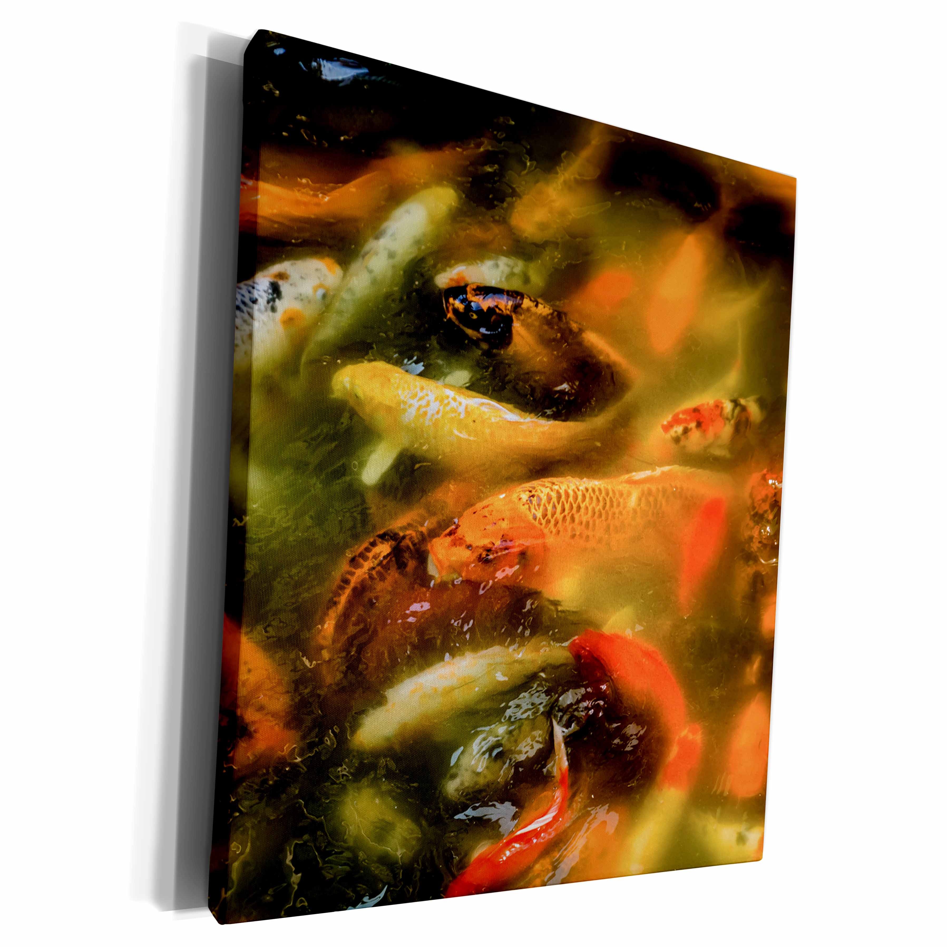3dRose Crowded pond with Orange Koi fish, Yuyuan Garden,... - Museum Grade Canvas Wrap (cw_257100)