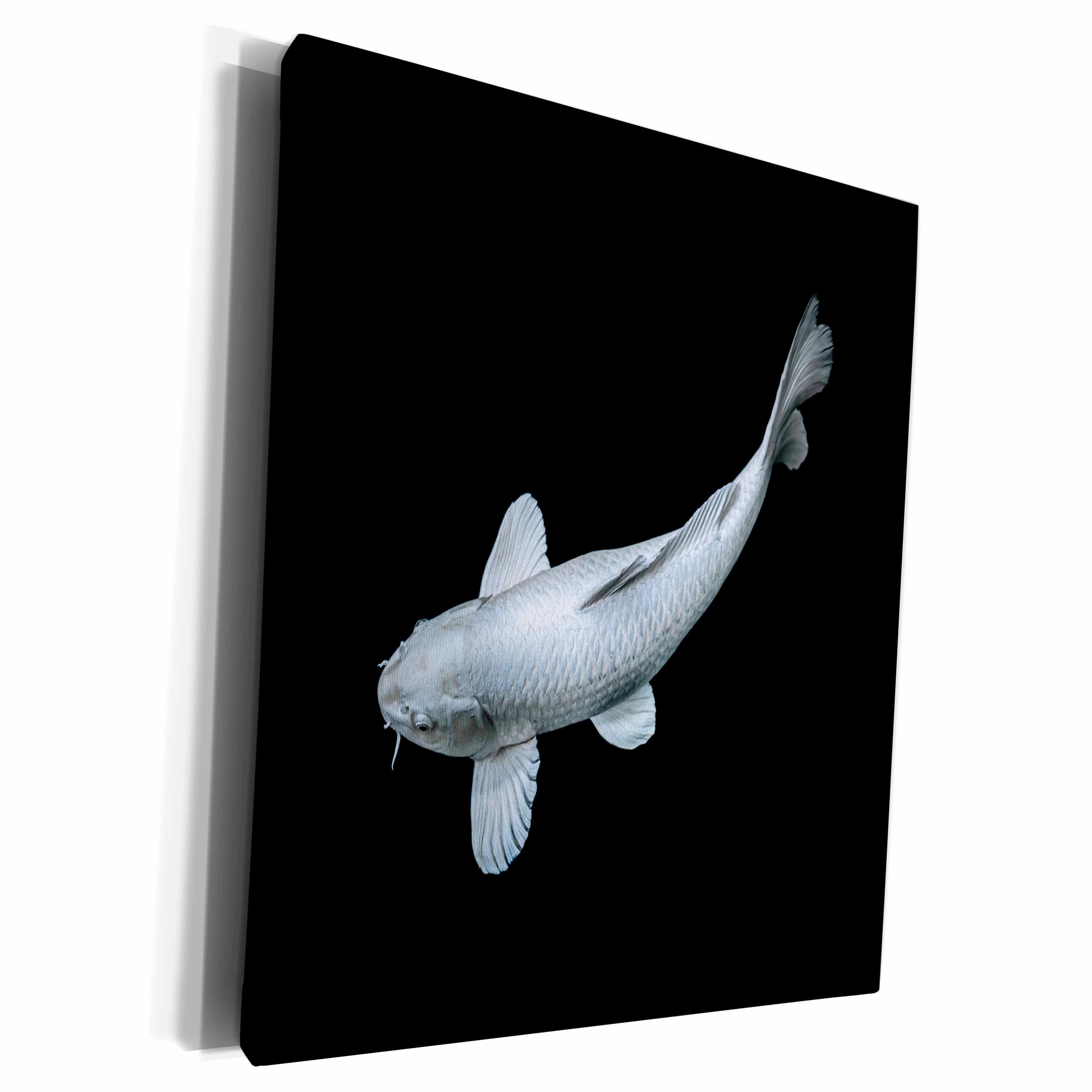 3dRose Portrait of Silver Japanese Asia Koi Fish Photography - Museum Grade Canvas Wrap (cw_294937)