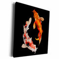 3dRose Photography of Japanese Asia Koi Fishes - Museum Grade Canvas Wrap (cw_314114)