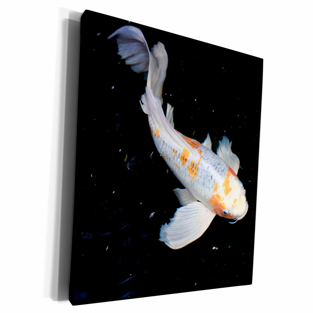 3dRose Koi Fish Swims Motion - Museum Grade Canvas Wrap (cw_322734)
