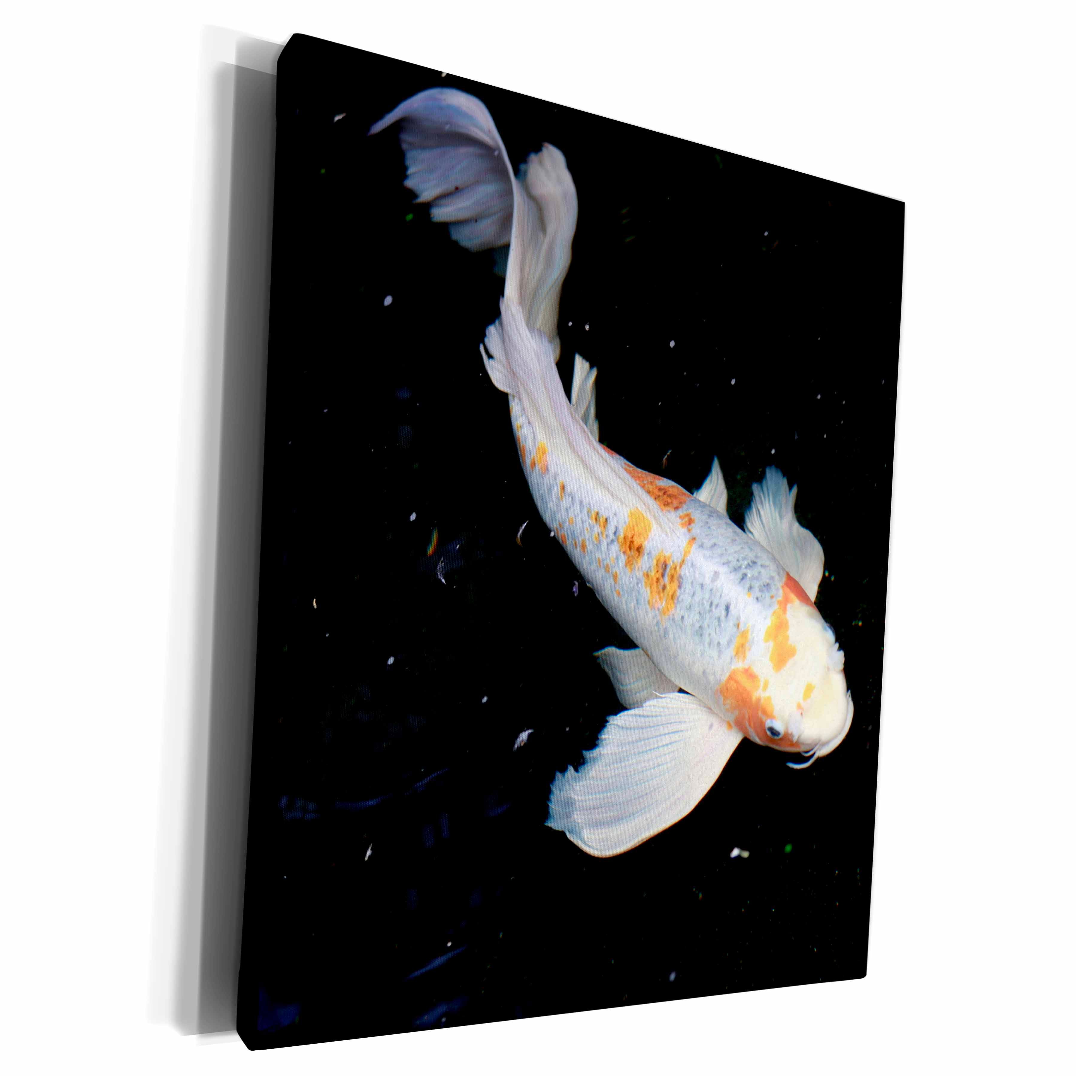 3dRose Koi Fish Swims Motion - Museum Grade Canvas Wrap (cw_322734)