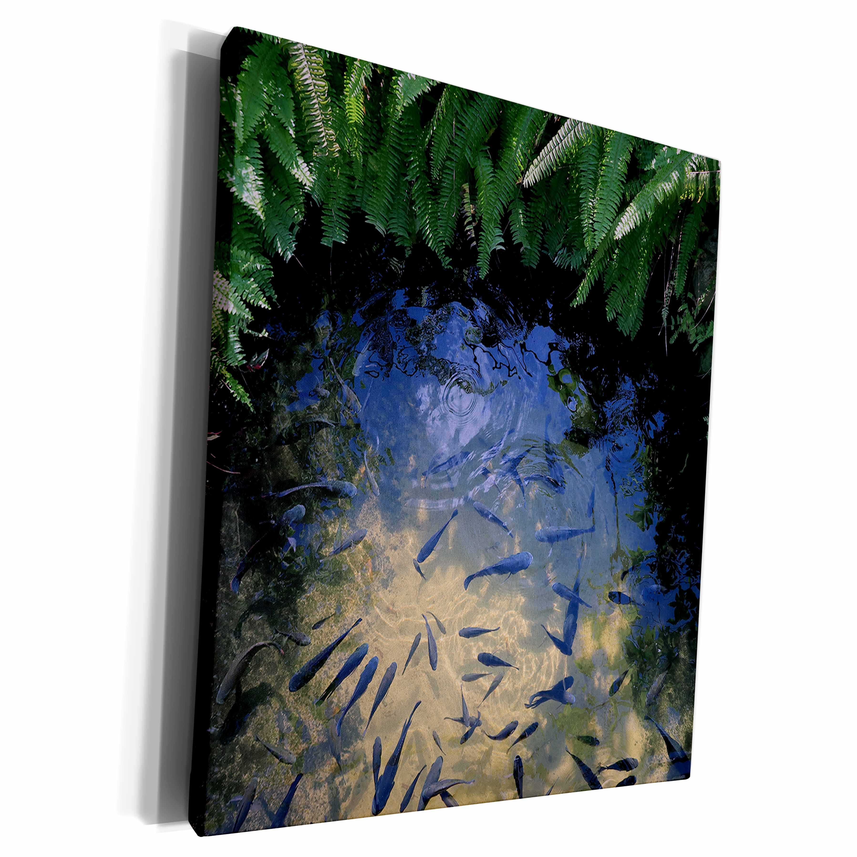 3dRose Photograph of black koi fish in a pond at the... - Museum Grade Canvas Wrap (cw_326830)