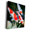 3dRose Florene Fish - Japanese orange n White Koi Fish - Museum Grade Canvas Wrap (cw_62378)