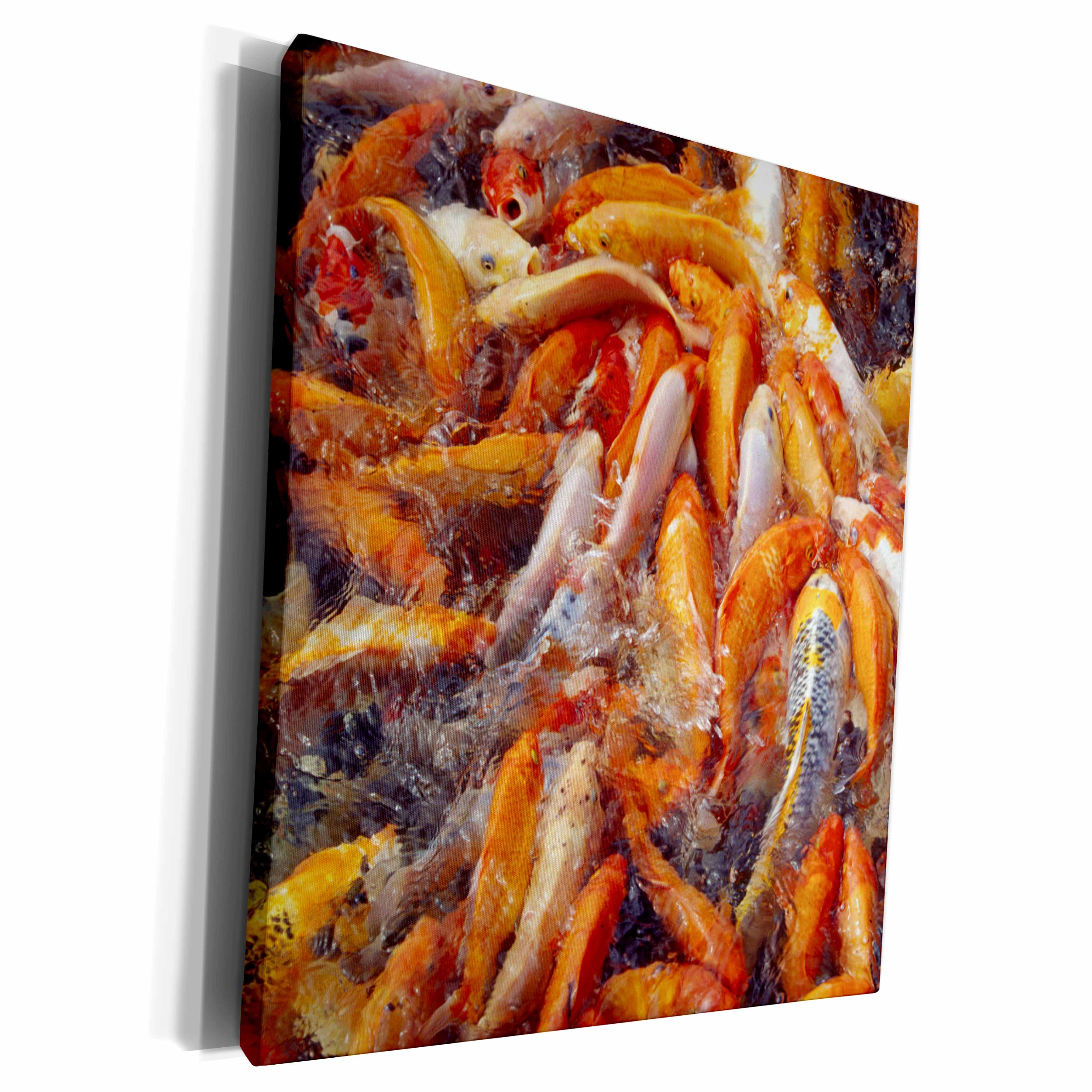 3dRose Koi fish in pond - NA02 DPB0004 - Douglas Peebles - Museum Grade Canvas Wrap (cw_84064)