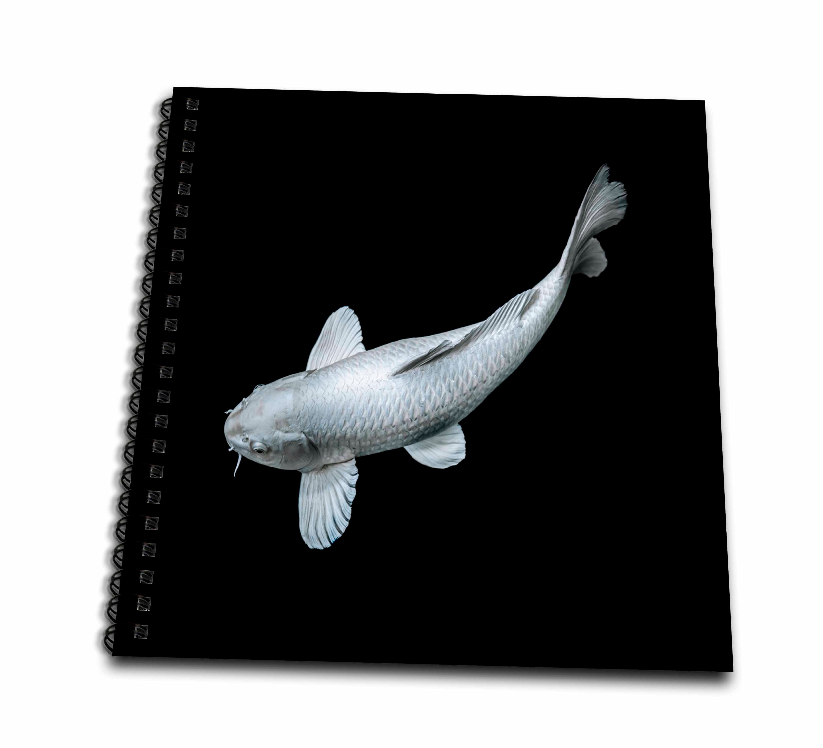 3dRose Sven Herkenrath Animal - Portrait of Silver Japanese Asia Koi Fish Photography - Drawing Book