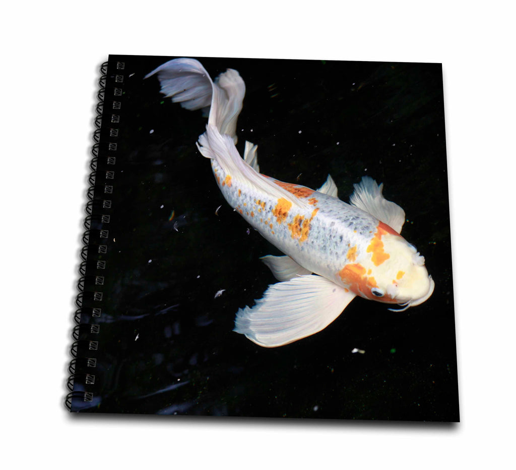 3dRose TDSwhite – Miscellaneous Photography - Koi Fish Swims Motion - Drawing Books (db_322734)
