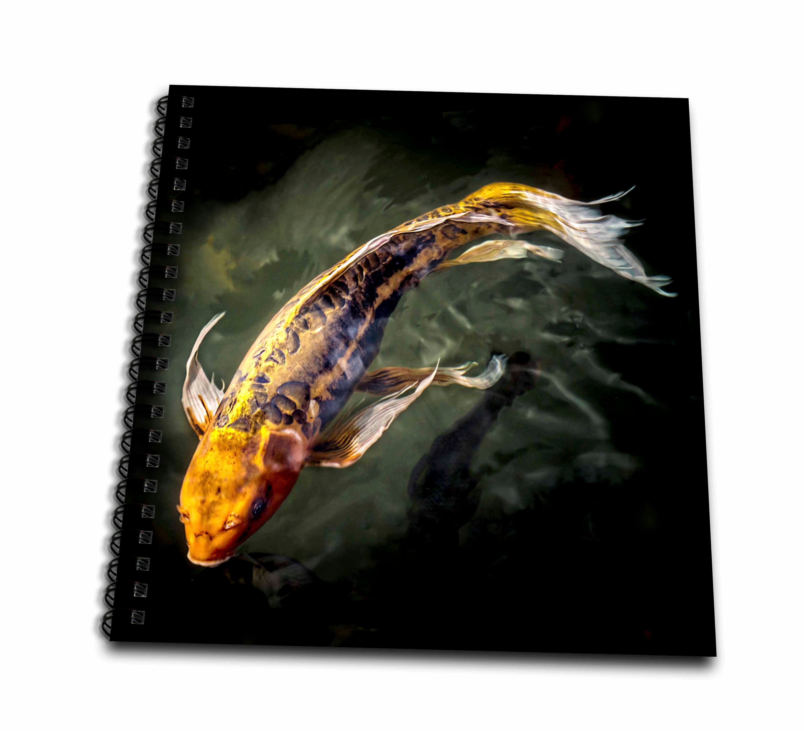 3dRose Boehm Photography Fish - Awesome Koi Fish - Drawing Books (db_77236)