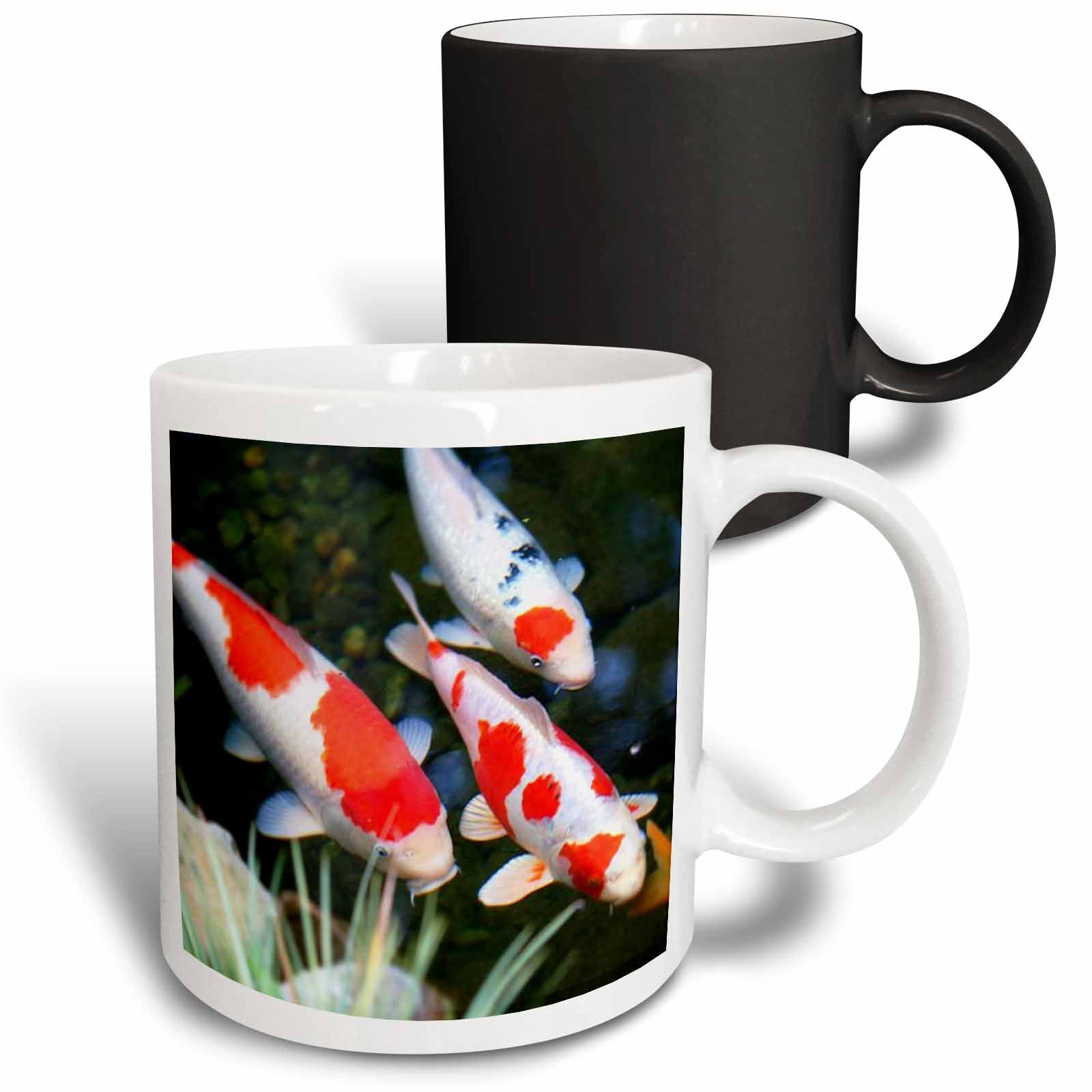 3dRose Florene Fish - Japanese orange n White Koi Fish - Mugs (mug_62378)