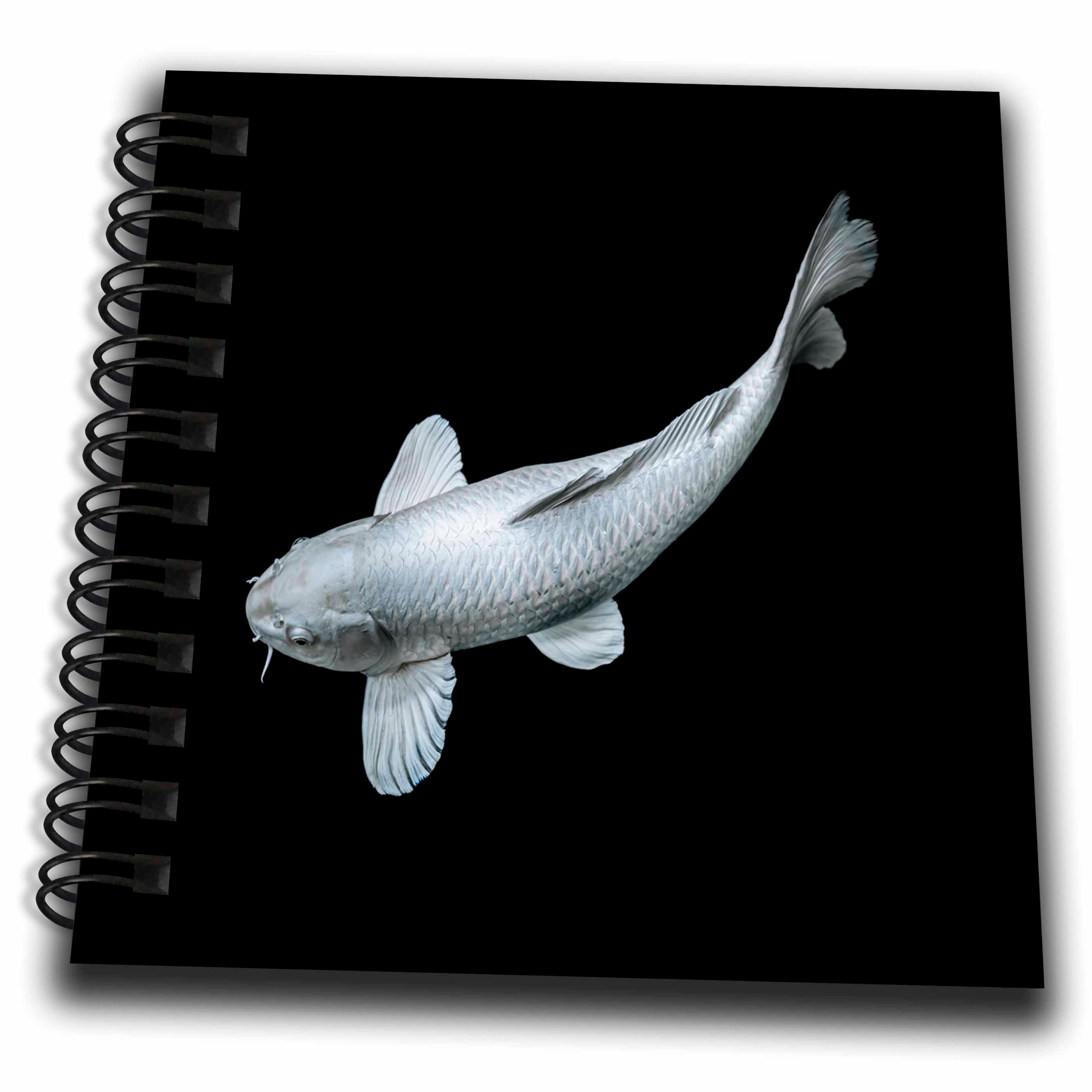 3dRose Sven Herkenrath Animal - Portrait of Silver Japanese Asia Koi Fish Photography - Drawing Book