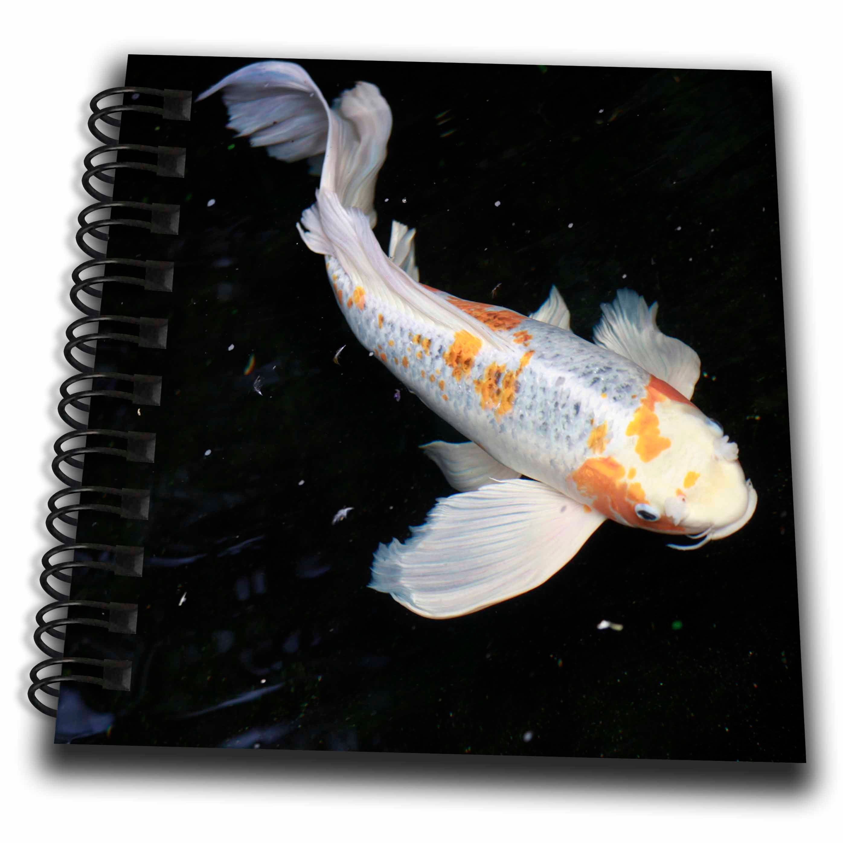 3dRose TDSwhite – Miscellaneous Photography - Koi Fish Swims Motion - Drawing Books (db_322734)