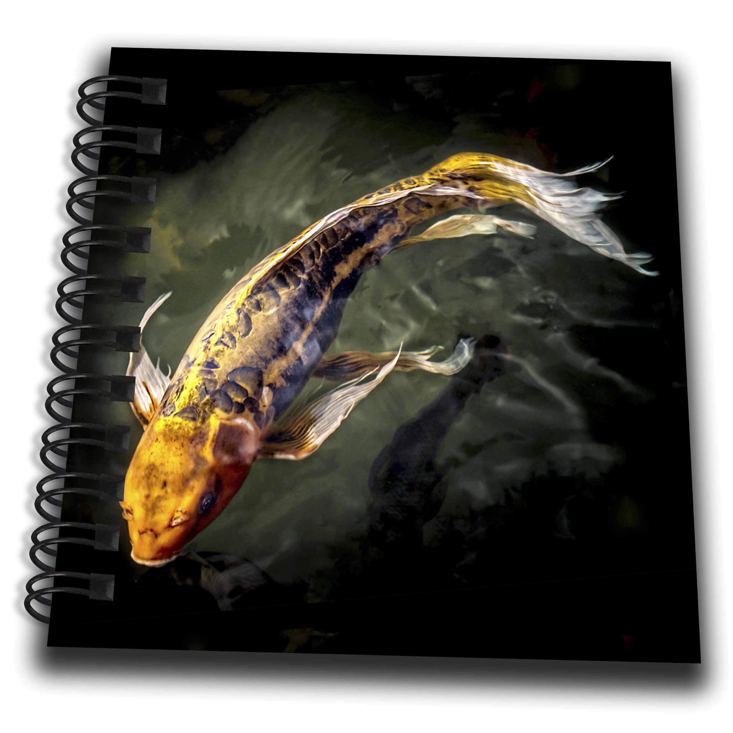 3dRose Boehm Photography Fish - Awesome Koi Fish - Drawing Books (db_77236)