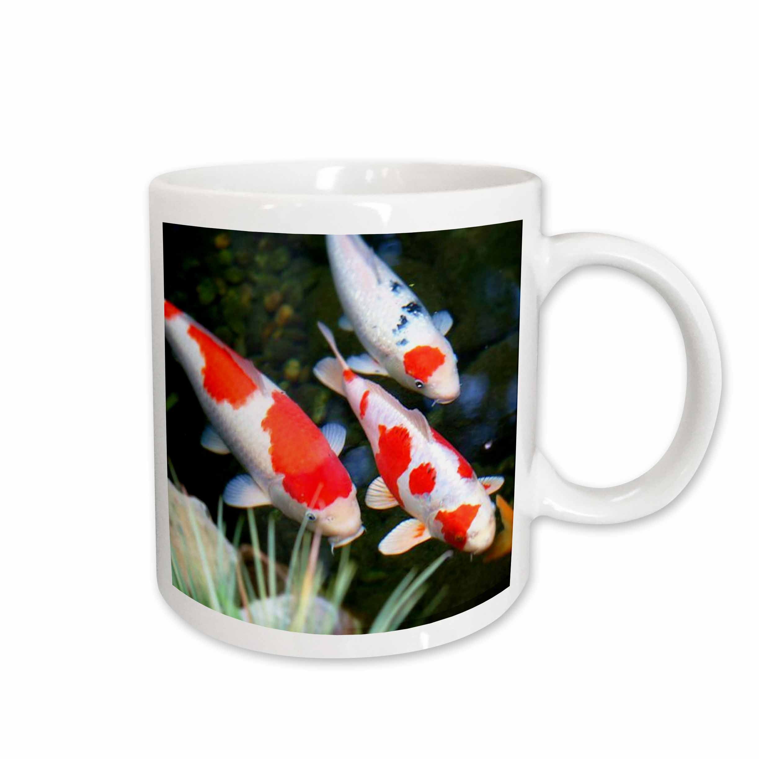 3dRose Florene Fish - Japanese orange n White Koi Fish - Mugs (mug_62378)