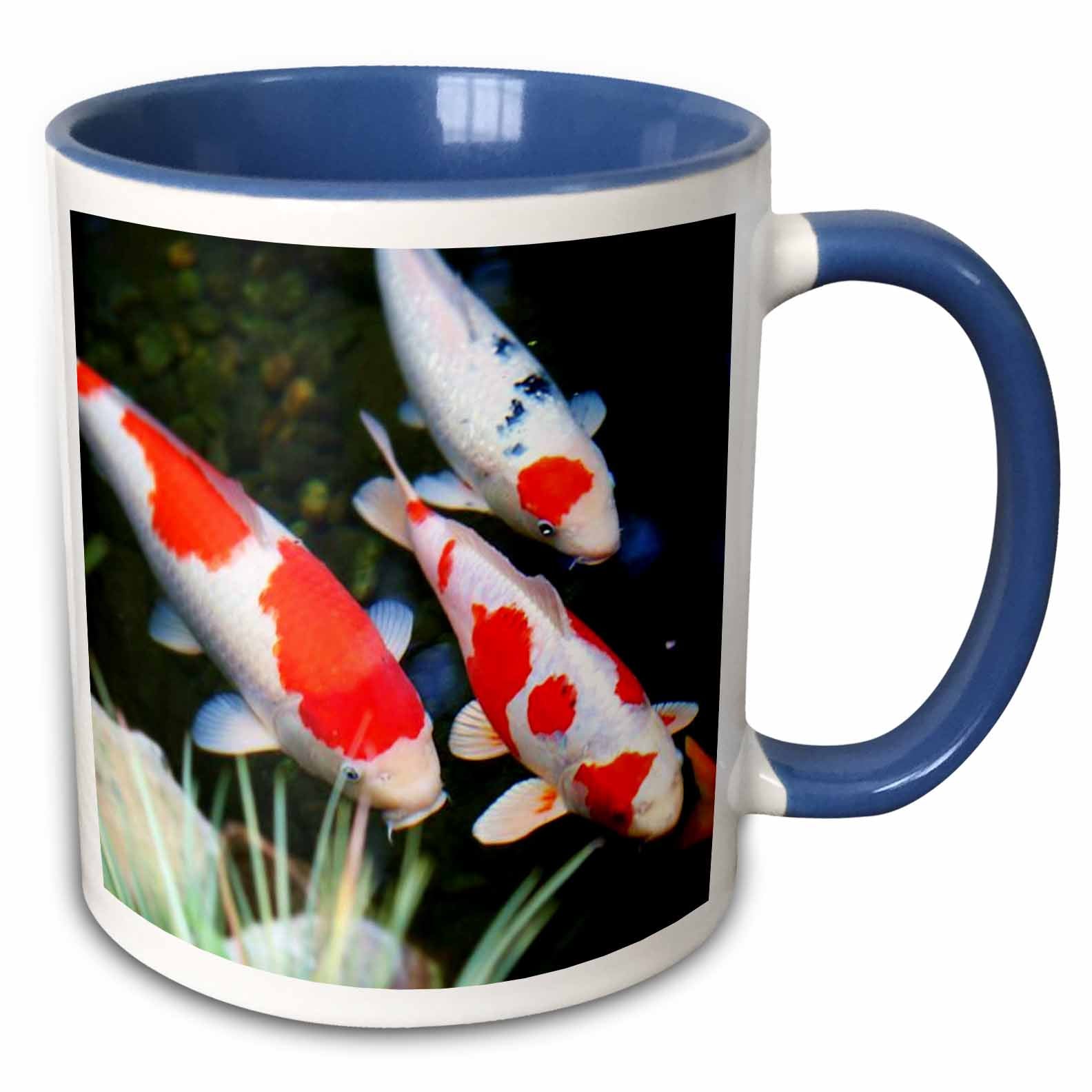 3dRose Florene Fish - Japanese orange n White Koi Fish - Mugs (mug_62378)