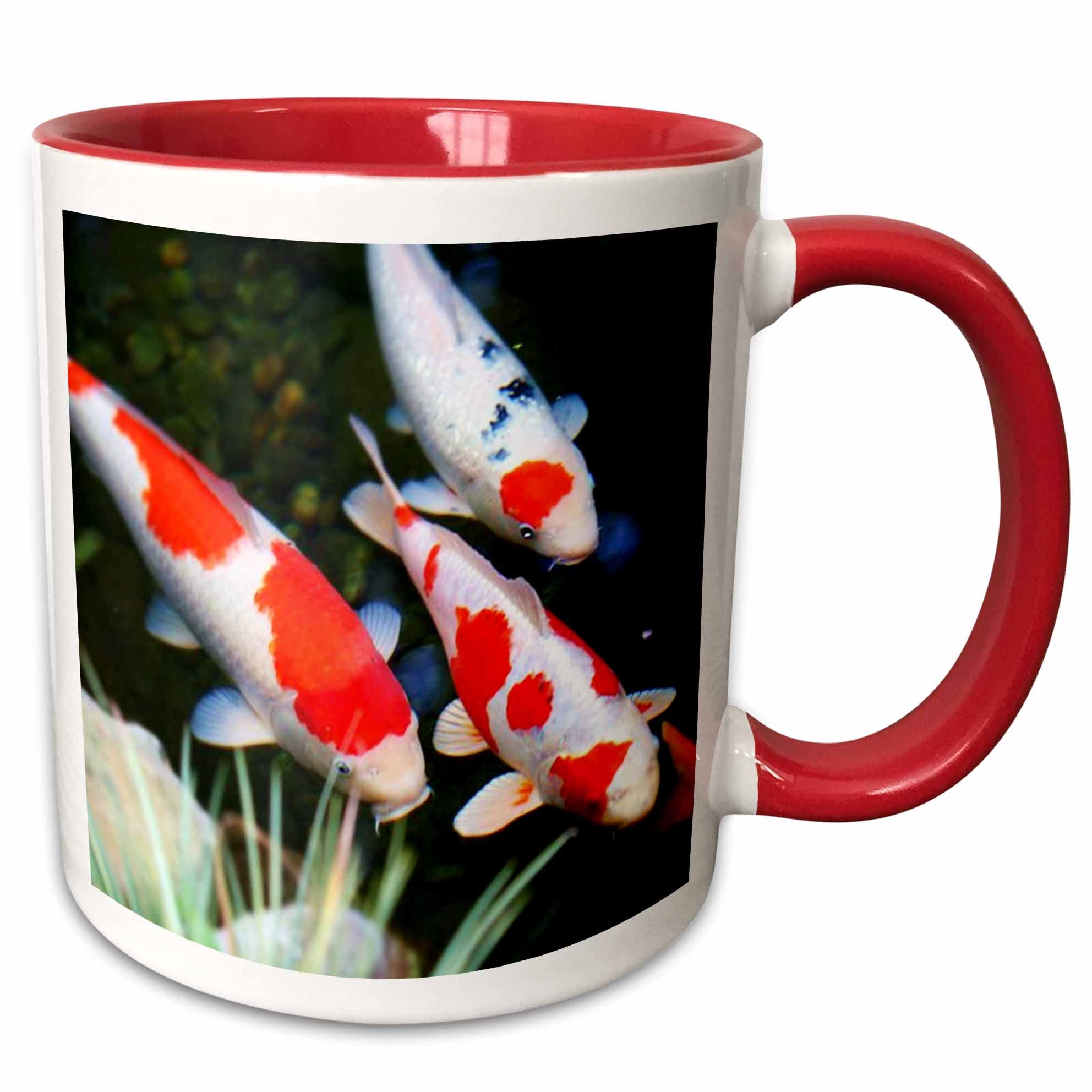 3dRose Florene Fish - Japanese orange n White Koi Fish - Mugs (mug_62378)