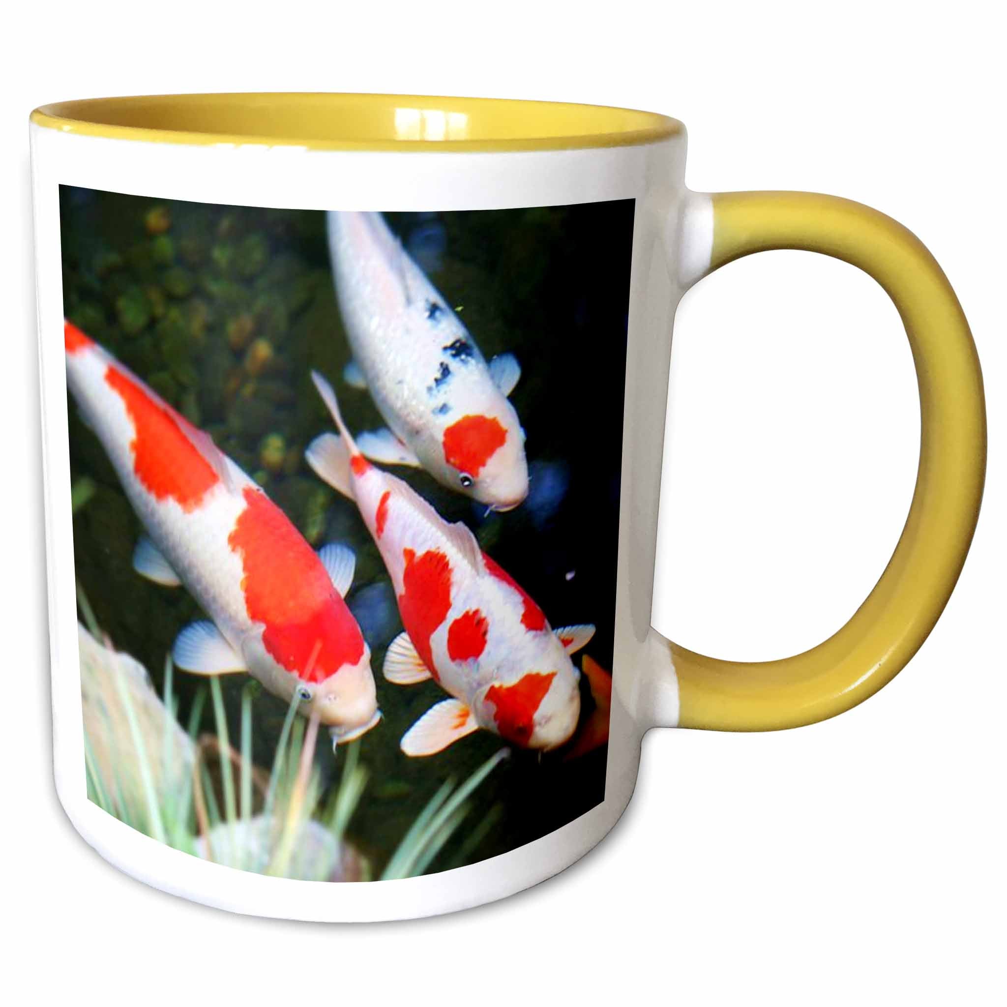 3dRose Florene Fish - Japanese orange n White Koi Fish - Mugs (mug_62378)